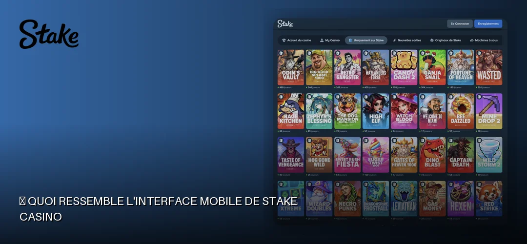 Stake Casino promotional banner